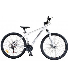 VTT Extreme 29