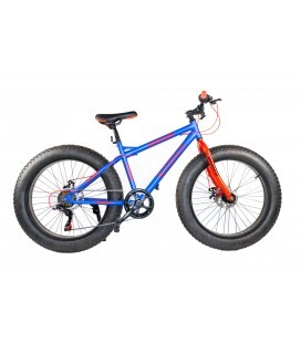 Fat Bike Star Wars 24