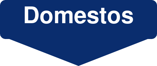 Domestos