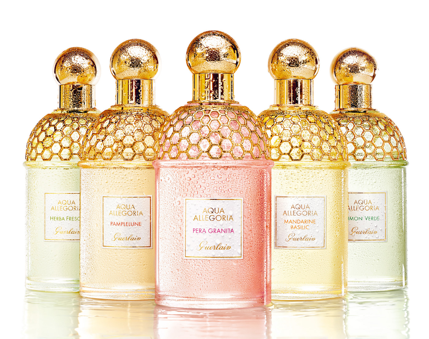 Aqua Allegoria