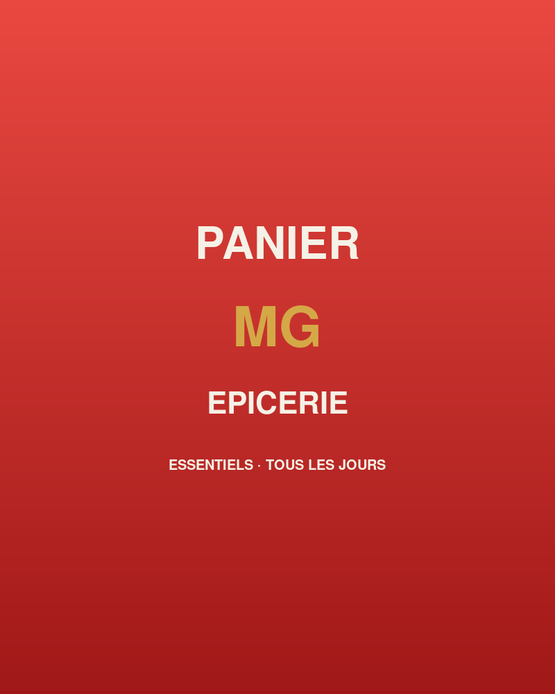 Panier épicerie MG