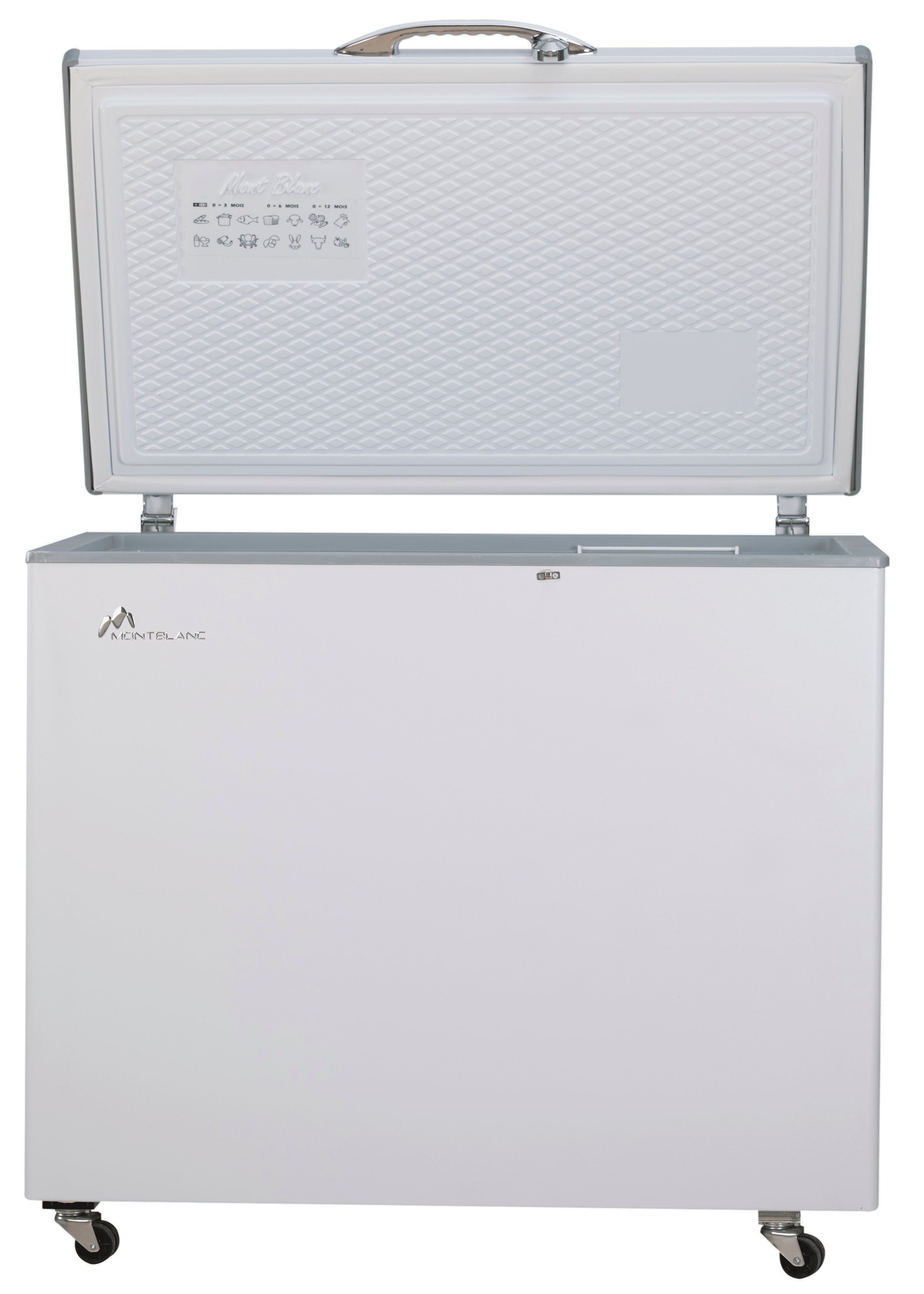 Congélateur Horizontal ECF300