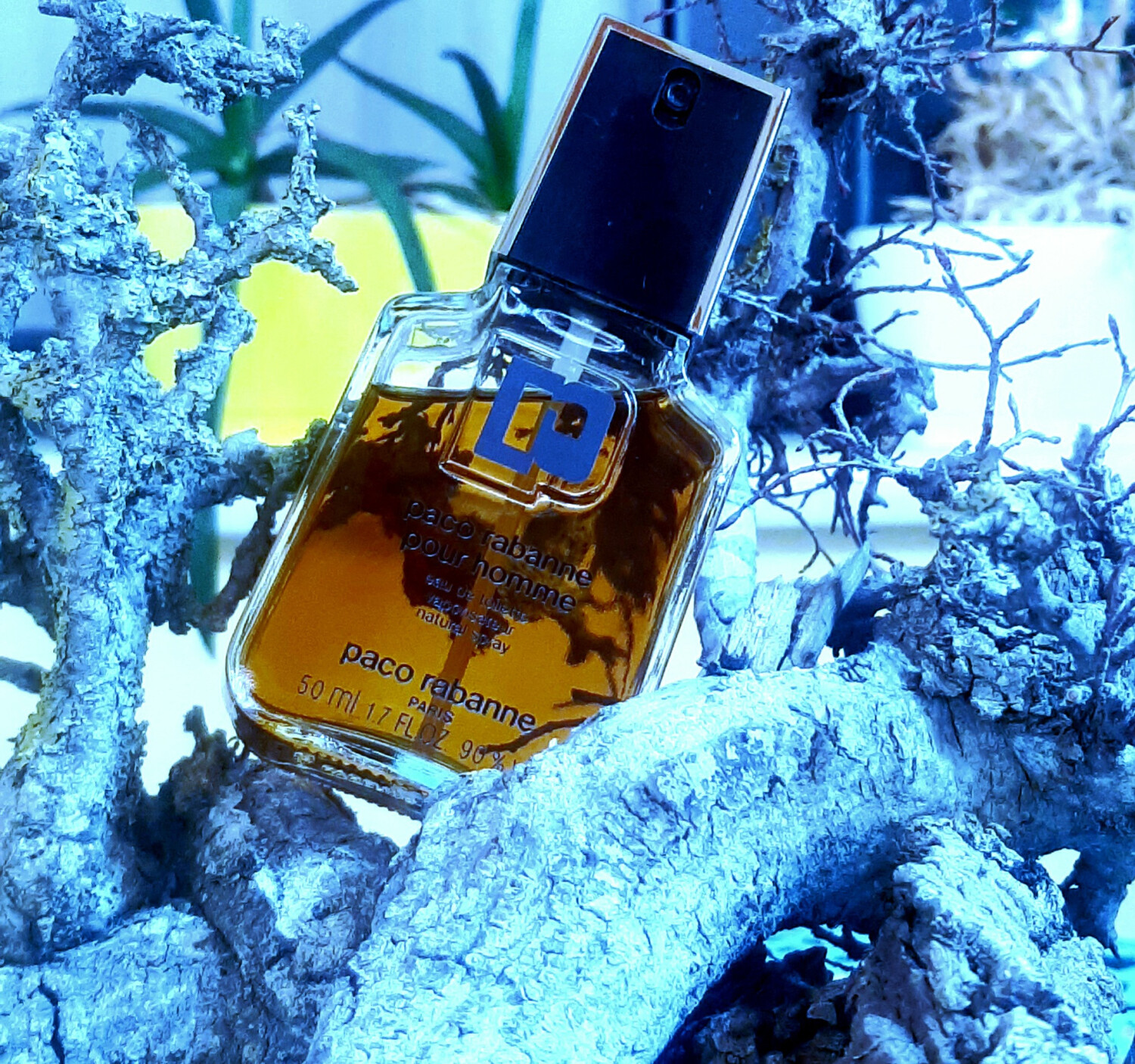 Parfums homme