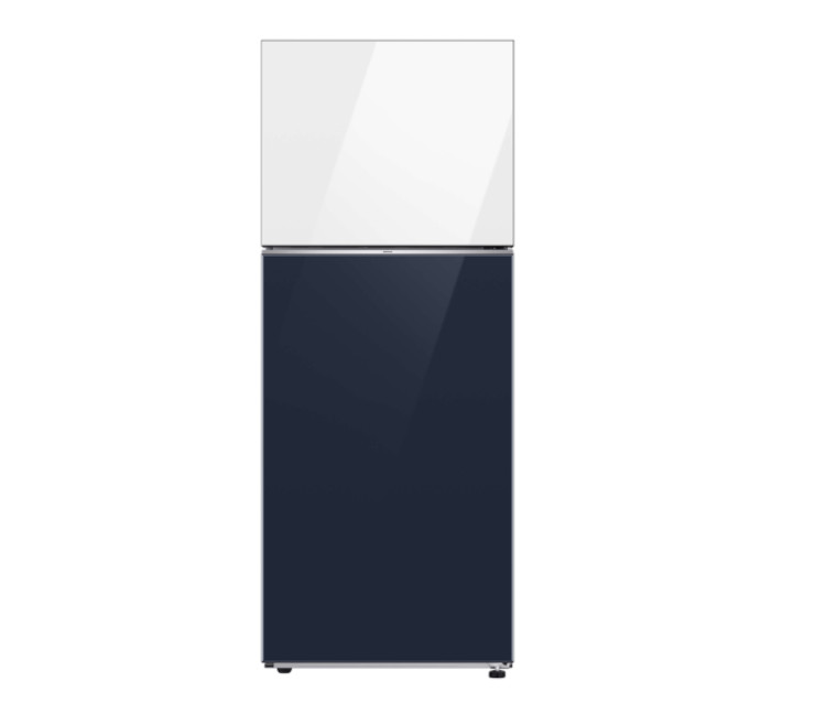 Réfrigérateur Bespoke SAMSUNG RT42CB66448AEL
