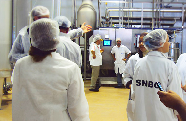 Production SNBG
