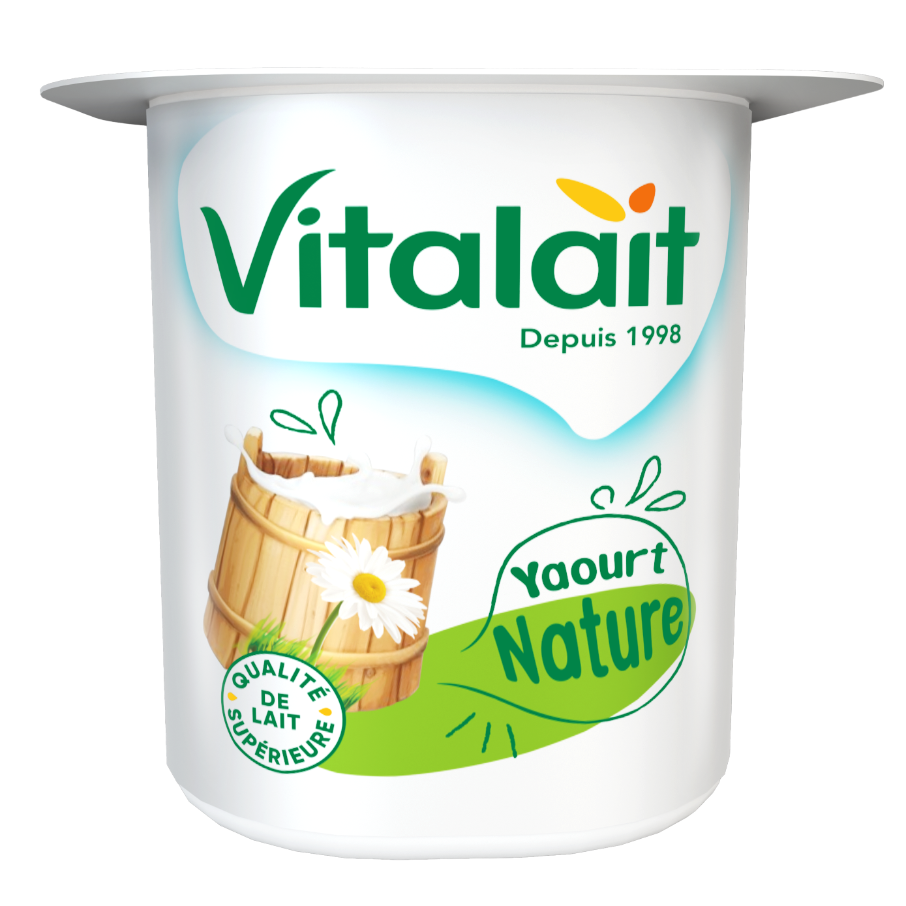 Yaourt Nature 100g